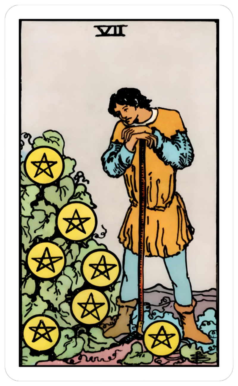 7 pentacles card